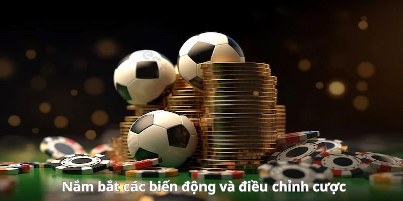 Nghiên cứu cẩn thận thể lệ và quy chế