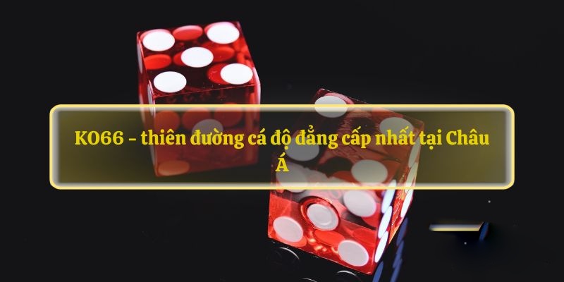 Các chính sách người dùng cần biết khi tham gia vào nhà cái